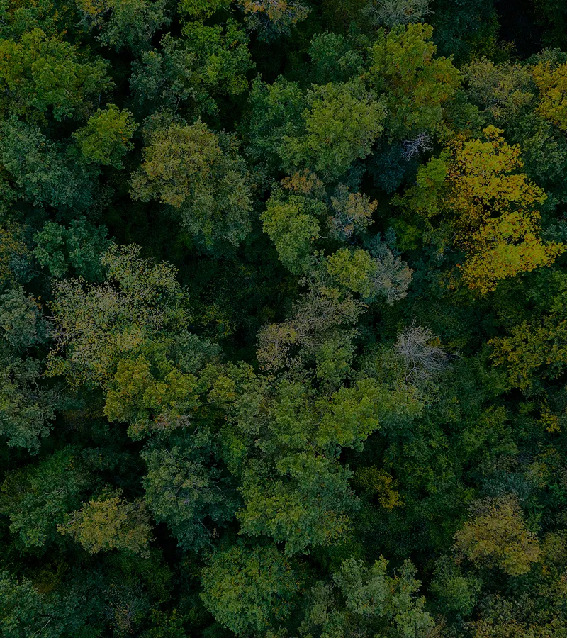 大泉衛生 環境への配慮