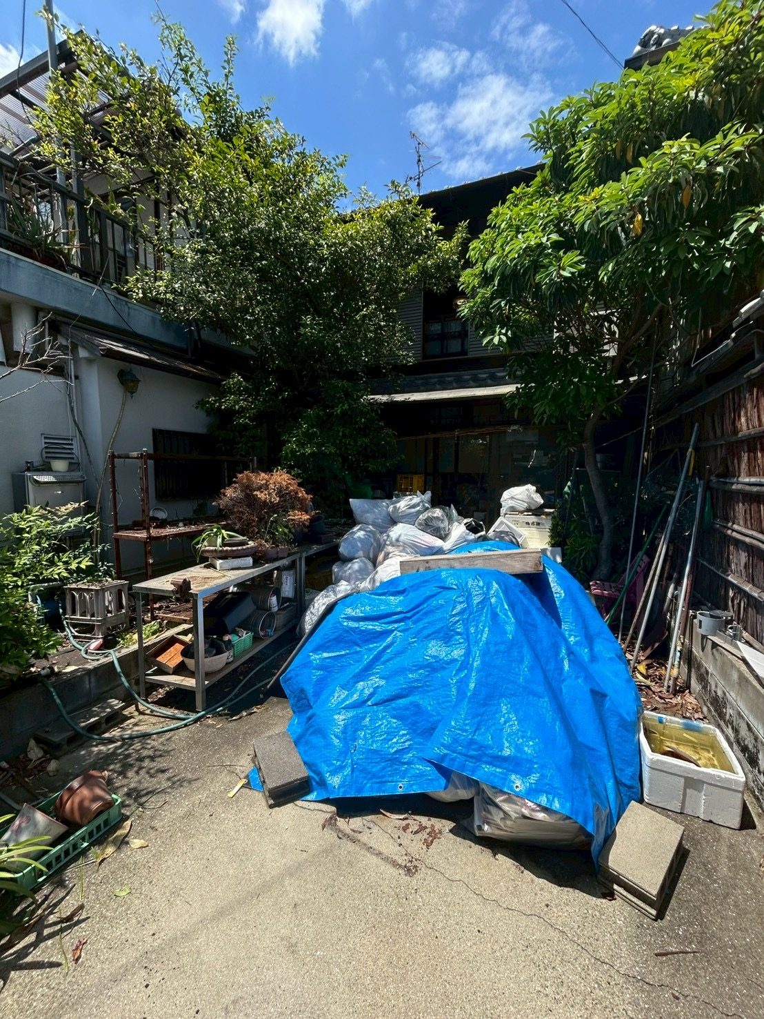 生野区新今里 古民家 裏庭ビフォー